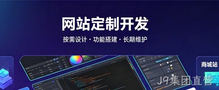 各类型网站定制开发